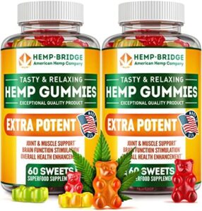 HEMPBRIDGE Pack of 2 Hemp Gummies – Designed in Usa – Omega 3 Health supplement with Hemp Oil – Fruity Gummies for Joints, Muscular tissues, Take it easy, Tranquil, Sleep, Skin and Nails